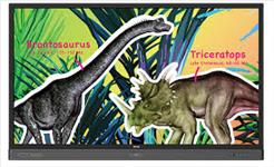 BenQ, RP704K, 4K, 70, 16:9, 3840, x, 2160, 20, Point, Touch, Screen, 