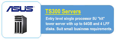 Asus TS300 Servers