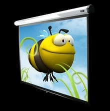 Elite, Screens, Home100IWV2, Home2, Series, Projector, Screen, -, 4:3, -, 100, Diagonal, (80.0, W, x, 60.0, H), 