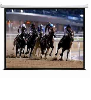 SG, Professional, EA, Series, Electric, Screen, 190, 16:9, format, (4.2m, *, 2.36m), 