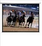 SG, Professional, EA, Series, Electric, Screen, 190, 16:9, format, (4.2m, *, 2.36m), 