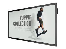 BenQ, IL430, 43, HD, 10-Point, Multi, Touch, Display, 