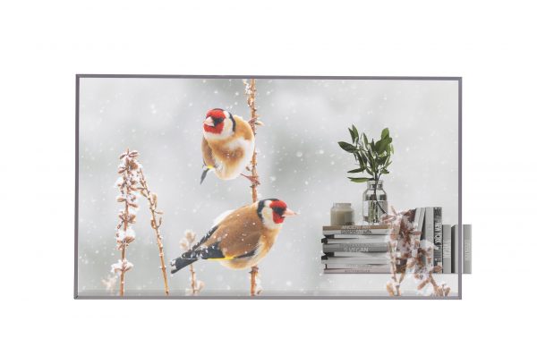 LG, 55, 55EW5P, OLED, FHD, WEBOS, 7.5, TRANSPARENT, OPEN, FRAME, 18/7, DSP, -, MOVING, CONTENT, ONLY, 