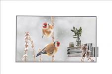 LG, 55, 55EW5P, OLED, FHD, WEBOS, 7.5, TRANSPARENT, OPEN, FRAME, 18/7, DSP, -, MOVING, CONTENT, ONLY, 