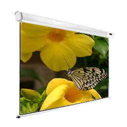 Dinon, Professional, Rear, Projection, Screen, 63, (1.143m, *, 1.143m), 