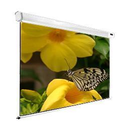 Dinon, Professional, Rear, Projection, Screen, 75, (1.524m, *, 1.143m), 