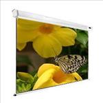 Dinon, Professional, Rear, Projection, Screen, 75, (1.524m, *, 1.143m), 