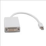 8Ware, Mini, DisplayPort, DP, 20-pin, to, DVI, 24+5-pin, 20cm, Male, to, Female, Adapter, Cable, 