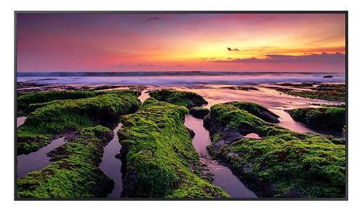 SAMSUNG, (QBB), PRO, DISPLAY, 65, UHD, 350NITS, HDMI(2), LAN/WIFI, SPK., PORT/LAND, 16H/7D, 3Y, 