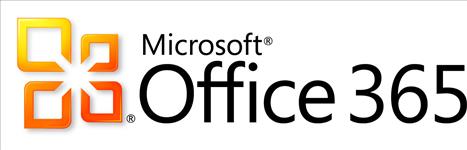 MS, Office, 365, Business, Premium, OLP, SNGL, Subscription, NL, 