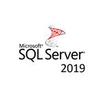 Microsoft, SQL, Server, 2019, Standard, -, Licence, -, 1, Server, -, OLP:, Open, Business, -, Windows, -, Single, Language, 