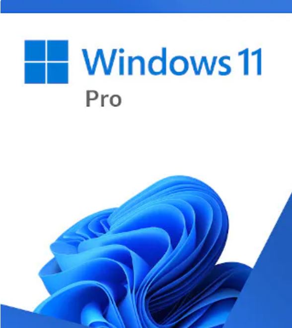 Desktop OS/Microsoft: Microsoft, Windows, 11, Professional, Retail, 64-bit, USB, Flash, Drive, 